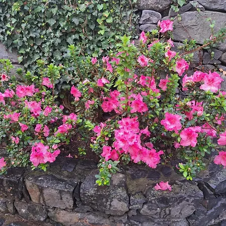 Casa Dos Lamaceiros São Vicente